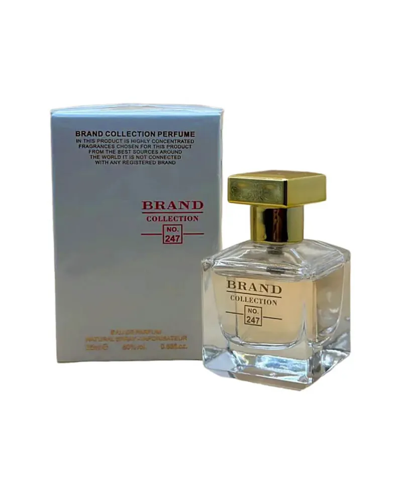 Brand Collection 247